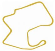Track Outline Decal-Gold